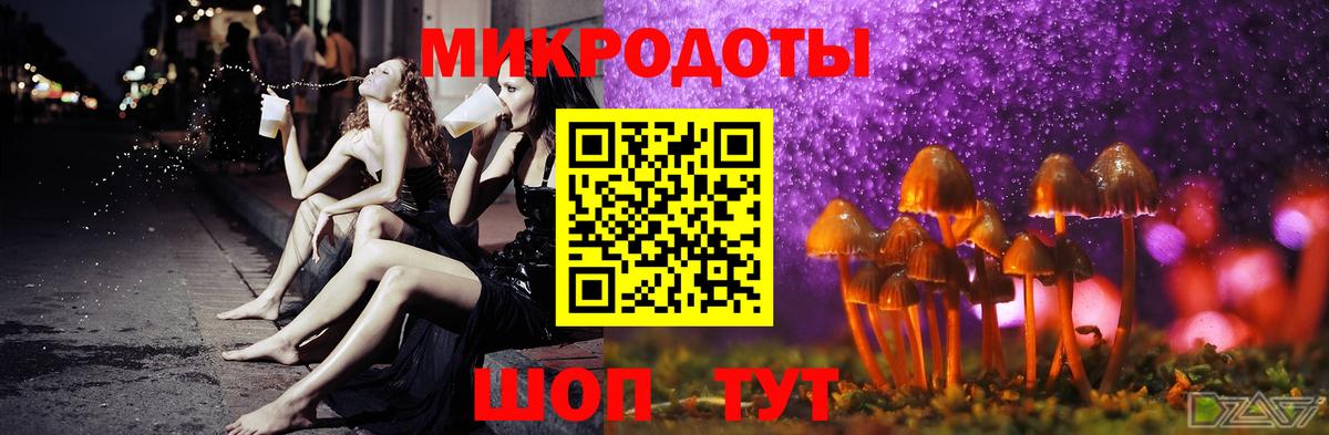 Псилоцибиновые грибы MAGIC MUSHROOMS Северск